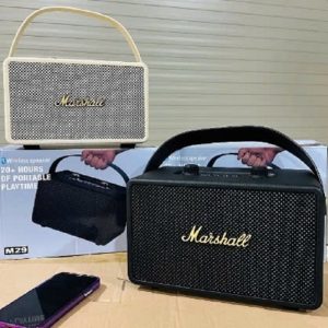 Loa Bluetooth Marshall M29