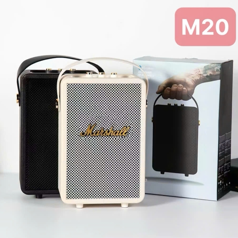 Loa Nghe Nhạc Bluetooth Marshall M20