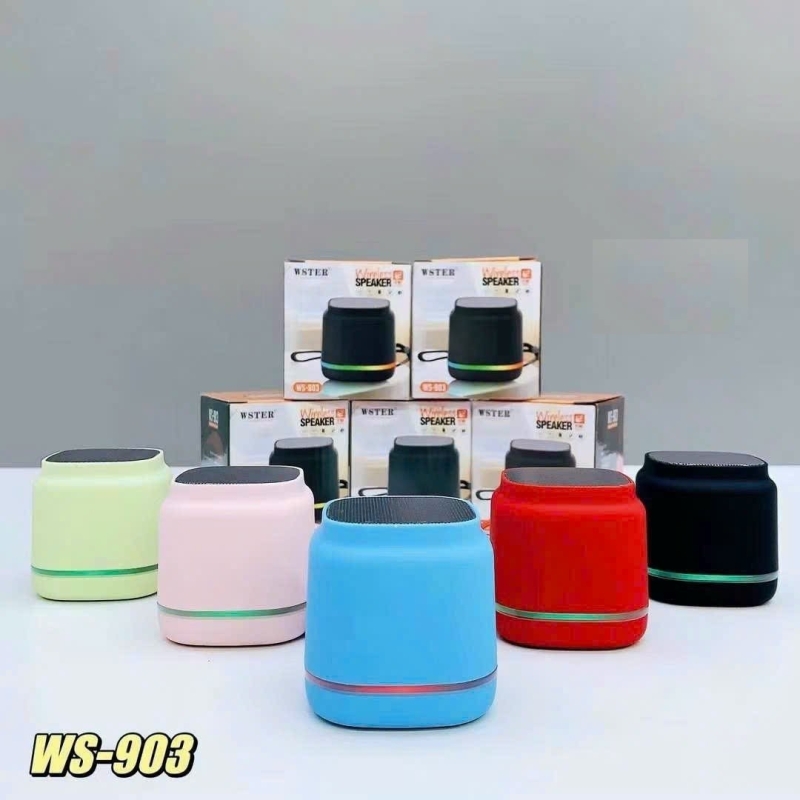 Loa bluetooth WSTER WS-903