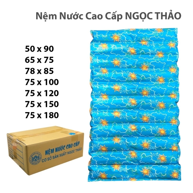 Nệm Nước Mùa Hè  65 X 75cm Ngọc Thảo Full Hộp