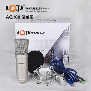 Mic Thu Âm Aqta AQ-100